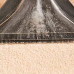 Picture of a carpet shampoo machine cleaning a carpet