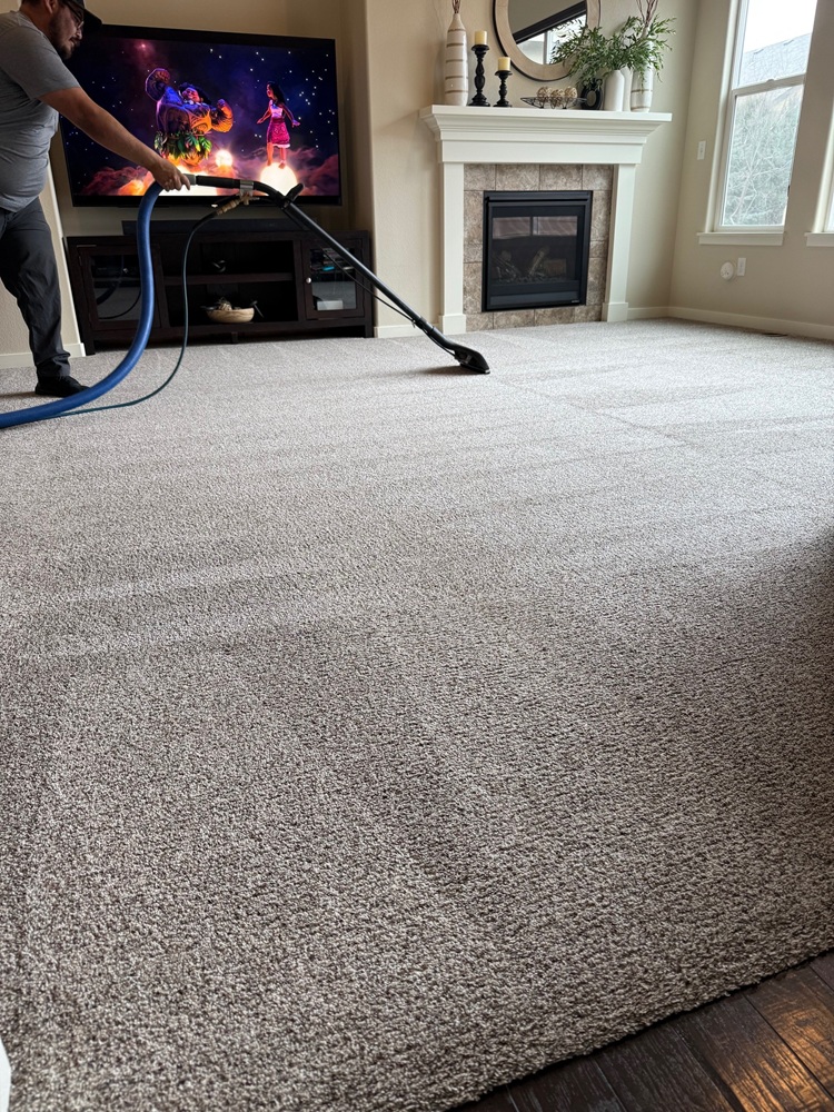 Steamway Carpet Cleaning